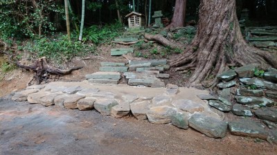 DSC_1230.JPG