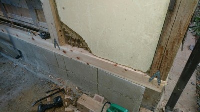 DSC_6227.JPG