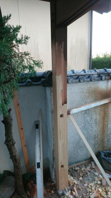 DSC_2729_2.JPG