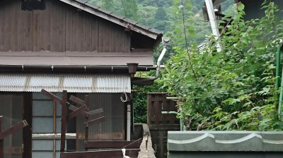 DSC_6662.JPG