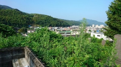 DSC_2428.JPG
