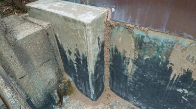 DSC_0113.JPG