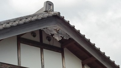 DSC_6819.JPG