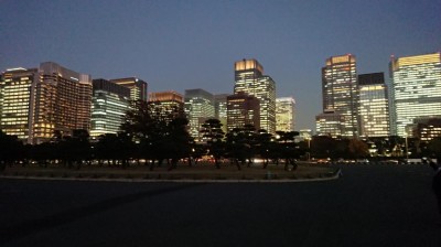 DSC_0246.JPG