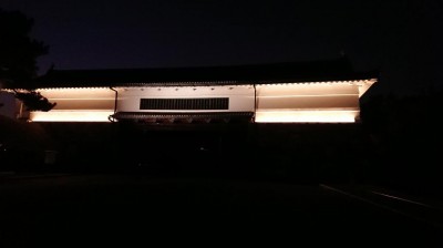 DSC_0247.JPG