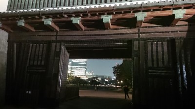 DSC_0255.JPG