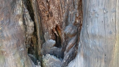 DSC_0240.JPG
