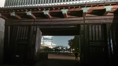 DSC_0255.JPG
