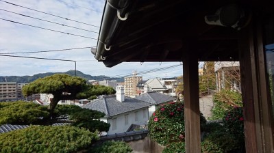 DSC_0137.JPG