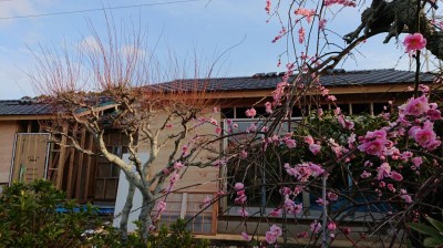 DSC_0549.JPG