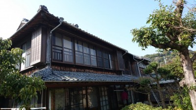 DSC_6464.JPG