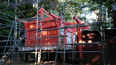 DSC_0650.JPG