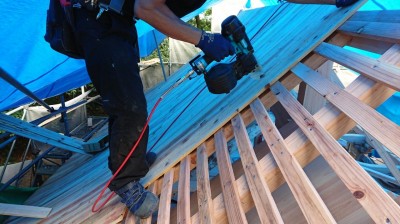 DSC_1033.JPG