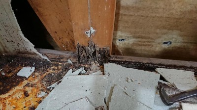 DSC_1109.JPG