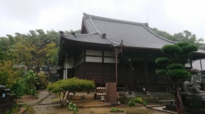 DSC_1153.JPG
