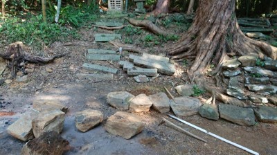 DSC_1229.JPG