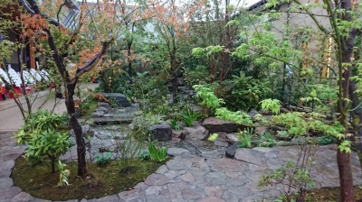 DSC_1270.JPG