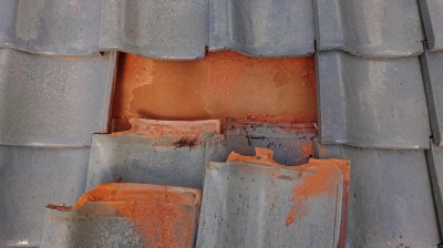 DSC_1385.JPG