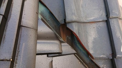 DSC_1386.JPG