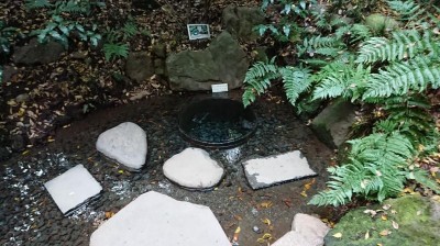 DSC_1393.JPG
