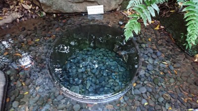DSC_1394.JPG