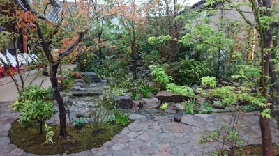 DSC_1270.JPG
