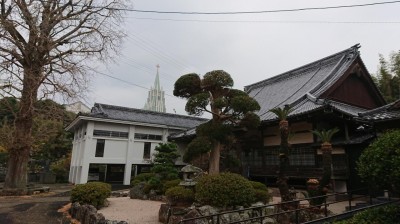 DSC_1445.JPG