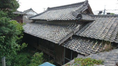 DSC_2447.JPG