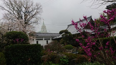 DSC_1648.JPG