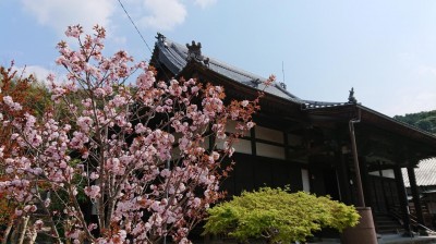 DSC_1673.JPG