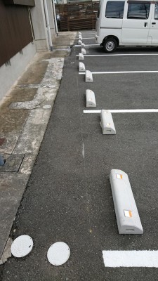 DSC_0031.JPG