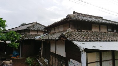 DSC_0291.JPG