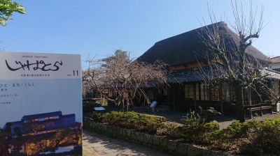 DSC_0468.JPG