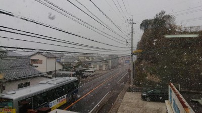 DSC_0587.JPG