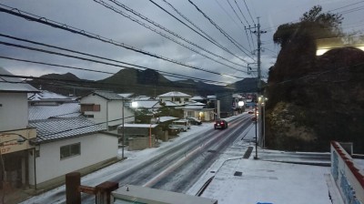 DSC_0599.JPG