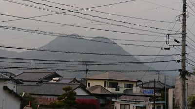 DSC_0702.JPG