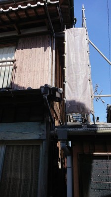 DSC_0779.JPG