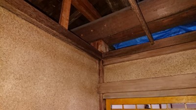 DSC_0866.JPG