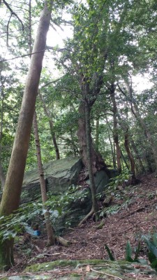 DSC_0467.JPG