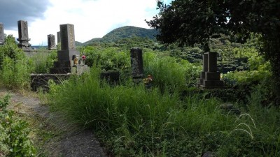 DSC_0646.JPG
