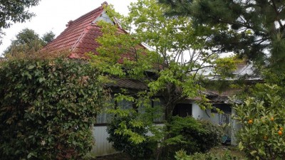DSC_1065.JPG