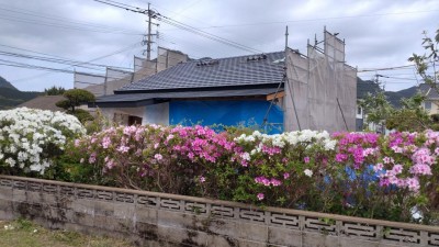 DSC_1071.JPG