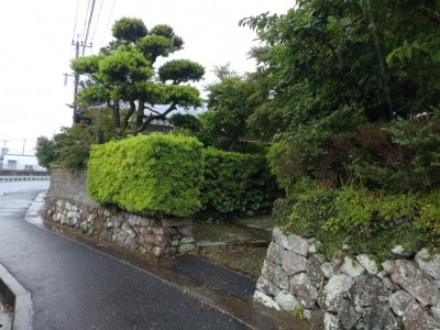 DSC_1259.JPG