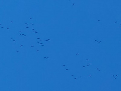DSC_2617.JPG